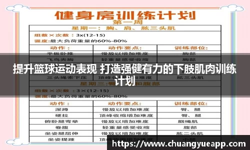 提升篮球运动表现 打造强健有力的下肢肌肉训练计划